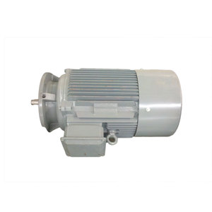 중국 높은 품질 <span class=keywords><strong>75kw</strong></span> 100hp 삼상 전기 모터 - Product Image 2