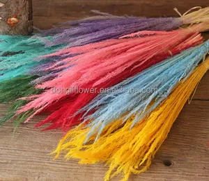 dried natural grass dongli arts and crafts for decoration