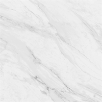 Linoleum Flooring Prices Home Design Parquet Flooring Tiles