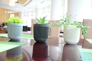 2019 Plastic Bloempotten Kleine Opknoping Mini Bloempot Plastic Tuin Voor Promotie - Product Image 6