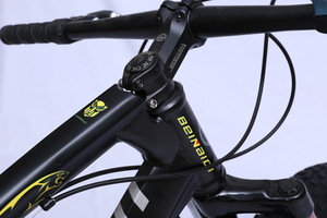 Vélo à pneus gras pour enfants de 20 pouces, vélo de plage, vélo de montagne, vélo à pneus gras 4.0 - Product Image 6