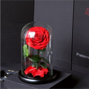 Rosas Eternas de Color Rojo Vino al por Mayor, Rosas Preservadas en Cúpula de Cristal para el Día de San Valentín - Product Image 2