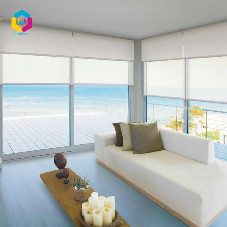 Двухслойная роликовая штора дневного и ночного видения с двигателем