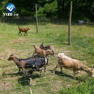 Kraal 네트워크 와이어 메쉬 펜싱 아연 도금 울타리 - Product Image 3