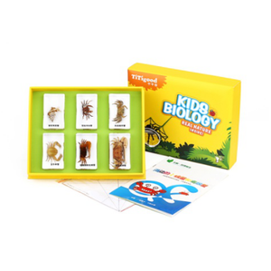 Gelsonlab HSKS-1719 Piccolo granchi e granchi eremita in riva al mare Incorporato biologico campioni Insegnamento incorporato campioni - Product Image 1