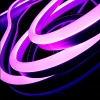 Esnek neon tüp lambalar LED ip ışık