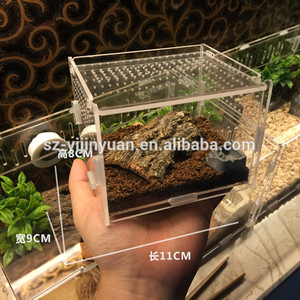 Toptan şeffaf akrilik örümcek kutusu monte kutu plastik akrilik örümcek kertenkele Gecko için mıknatıs ile sürüngen kafes - Product Image 2