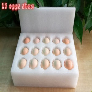 Thân Thiện Với Môi Trường Tùy Chỉnh Hộp Xốp Chèn Epe - Product Image 5