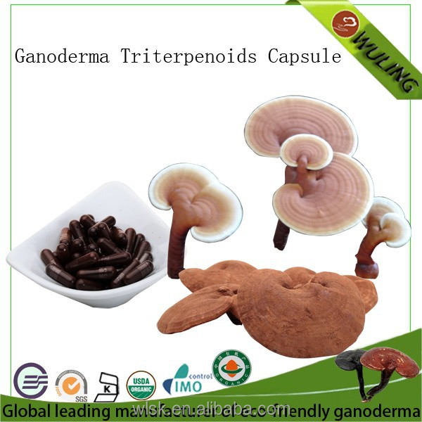 Ganoderma Lucidum Triterpenoid порошок планшет
