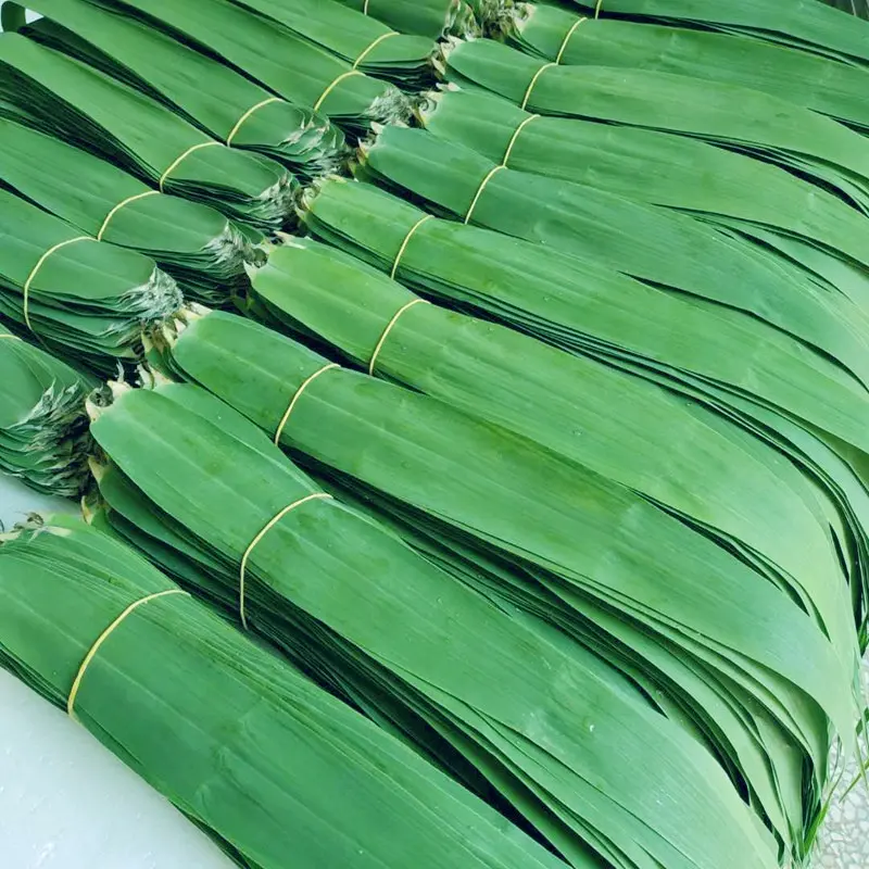 Вакуумная упаковка Zhu Ye для пищевых продуктов, Натуральные Сушеные бамбуковые листья для суши