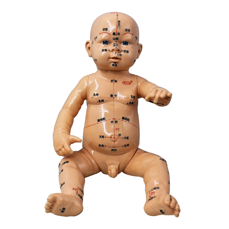 Детская Массажная Модель Куклы с акупунктурной точкой, модель детского тела, акупунктурная точка тела для детей
