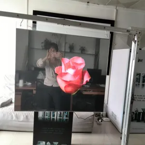 Chiếu Phim Phía Sau Cửa Hàng Cửa Sổ Kính Lá 3D Imgae Trong Suốt Xám Đậm Trắng Đen - Product Image 1