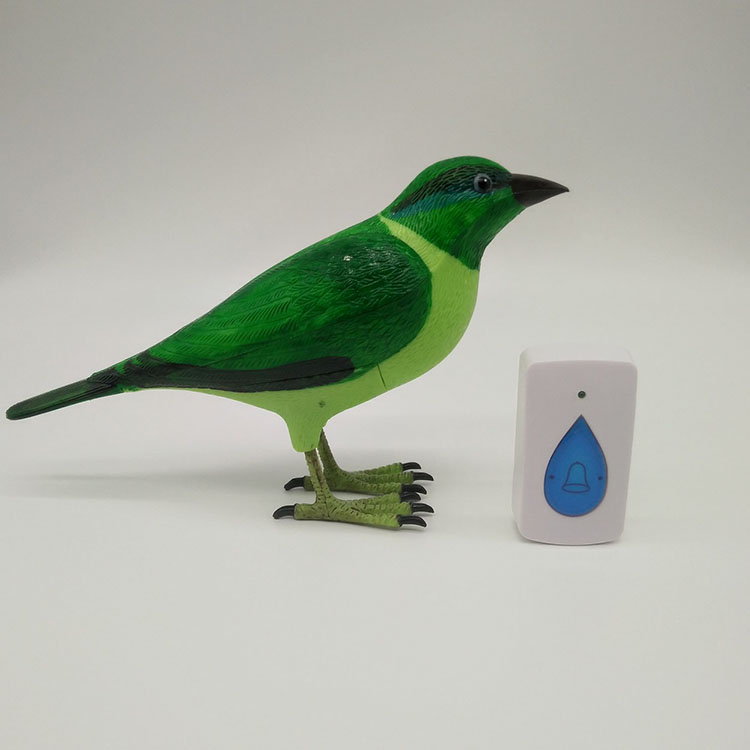 wireless bird