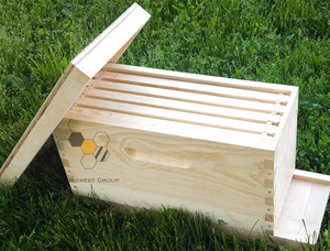 Ruche à 5 cadres pour abeilles, boîtes à noyaux complètes pour Langstroth - Product Image 5