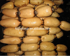 Свежие корни лотоса, цены на экспорт - Product Image 2