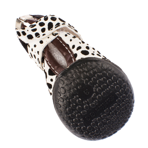 Zapatos ligeros lindos del perro del diseñador de China - Product Image 4