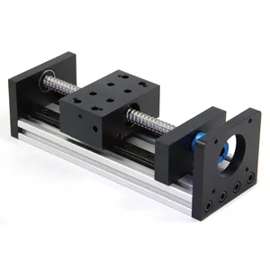 Angepasst 100 kg Horizontale last CNC Ball Schraube Linear Motion Antrieb Führer Schiene Möglichkeiten Für Gravur mit 23 nema schritt motor