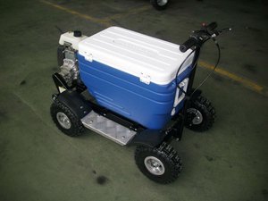Factory Direct Sale <strong>Motorises</strong> Cooler Box Rideable Cooler <strong>Scooter</strong> for Picnic - Product Image 5