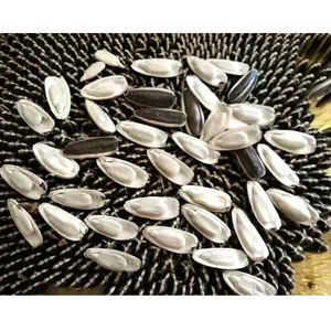 की कीमत 5009 सूरजमुखी के बीज अमेरिका प्रकार - Product Image 3
