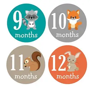 Baby Monthly Stickers Woodland Creatures Baby Milestone Stickers For Newborn Boy or Girl Animal Stickers
