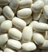 Square Type Medium白豆、Jumbo Size