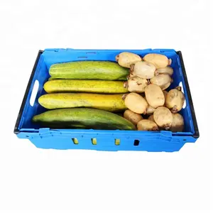 QS fisch kiste belüfteten plastik kiste obst kunststoff mesh korb - Product Image 5