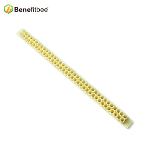 Benefitbee pp ape Regina Allevamento Kit allevamento tazza kit ape regina gabbie a rulli apicoltore <span class=keywords><strong>Apicoltura</strong></span> <span class=keywords><strong>Attrezzature</strong></span> - Product Image 5