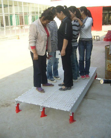 Пластиковый настил для птицы/курицы/утки/гуся с большим отверстием: 2,2*2 см (длина: 0,5 м * ширина: 0,5 м * толщина: 0,04 м)-тип 0025