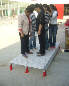 Sàn Gỗ Nhựa Cho Gia Cầm/Gà/Vịt/Ngỗng Có Lỗ Lớn: 2.2*2Cm (Dài: 0.5 M * Rộng: 0.5 M * Dày: 0.04M)-Loại 0025 - Product Image 1