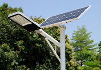 Venta caliente 12 voltios 60 W panel solar led Luz de calle luminaria led solar