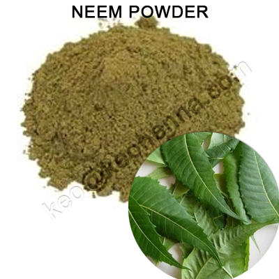 สีเขียวเข้ม