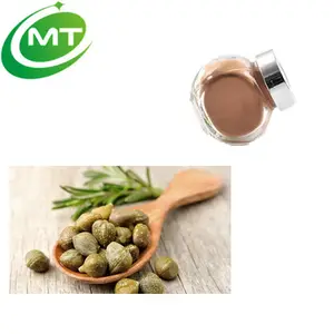 Bột Chiết Xuất Caper Tự Nhiên Nguyên Chất 100%