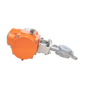 العلامة التجارية Tuoerpu DC24V جودة عالية DN32 مع مشغل كهربائي - Product Image 2