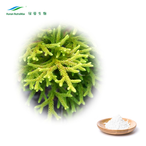 Fabricante Extracto de planta Suplemento de hierbas <span class=keywords><strong>Huperzia</strong></span> <span class=keywords><strong>Serrata</strong></span> Extracto 98% Huperzine A Polvo - Product Image 3