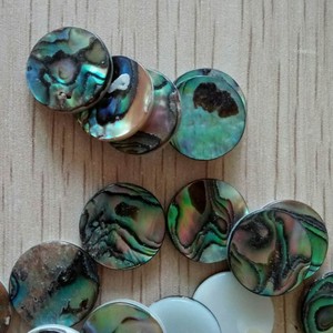 2021 Natural Craft Geschenke Paua <span class=keywords><strong>Abalone</strong></span> <span class=keywords><strong>Shell</strong></span> Inlay Flakes für Schmuck zubehör - Product Image 4