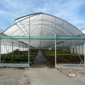 Nursery Green House China Factory Export Poly Tunnel Greenhouse