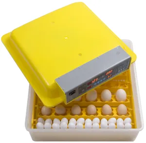 High Hatching Rate Cheap Chicken Duck Goose Quail Parrot Small Birds 36 Egg Incubator Hatching machine