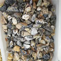 थोक प्राकृतिक सुलेमानी geode खजाना कटोरा, फेंगशुई cyrstal पत्थर