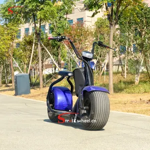 Citycoco 2000W 2 Roda 18*9.5 Inci, Sepeda Motor Listrik City Scooter Coco dengan Baterai Yang Dapat Dilepas