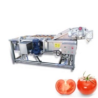 Automatische transportband industriële toepassing 2000kg/u fruit- en groentewasmachine
