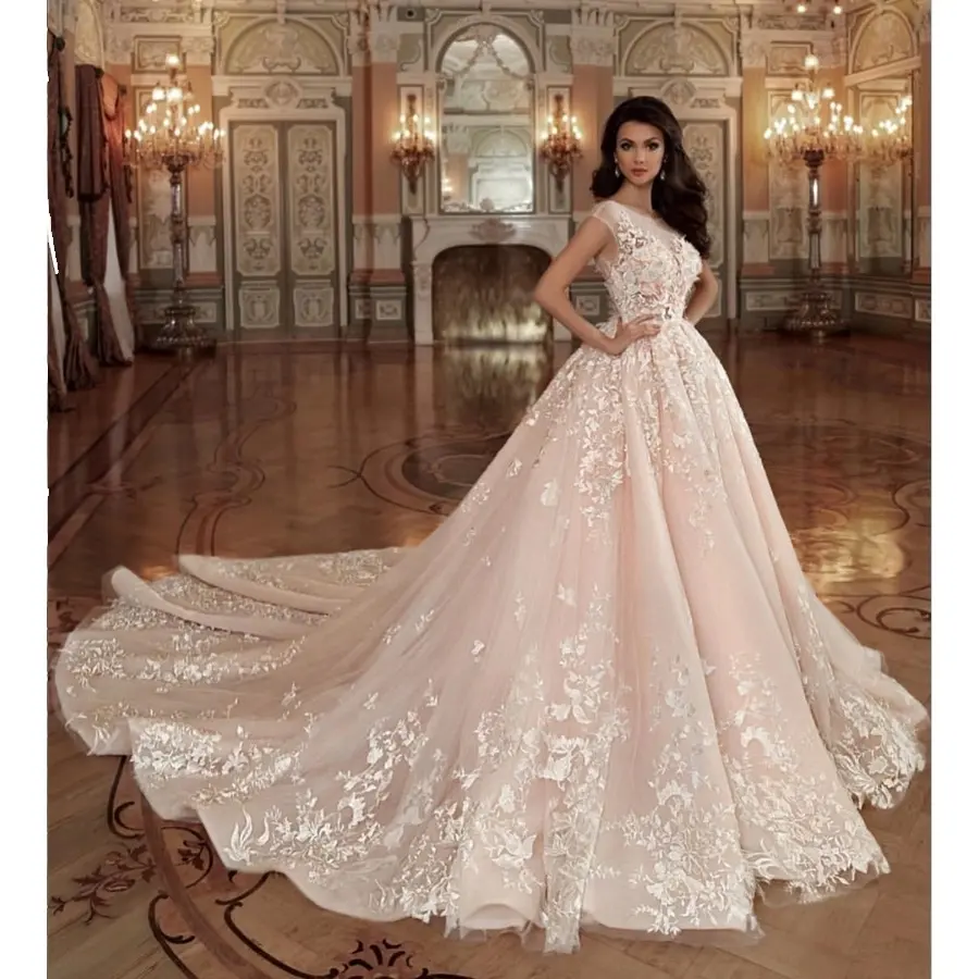 Blush Roze Gekleurde Bridal Lange Staart Modest Pakistaanse Trouwjurken