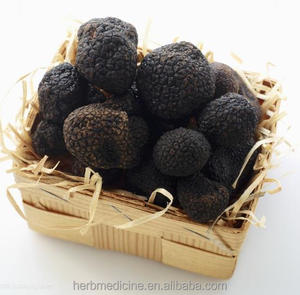 Tartufo Nero Naturale Essiccato di Nuova Raccolta per Alimenti e Tè a Prezzo all'Ingrosso - Product Image 2