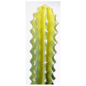 <span class=keywords><strong>Interior</strong></span> planta ornamental <span class=keywords><strong>suculentas</strong></span> al aire libre plantas <span class=keywords><strong>cactus</strong></span> artificial de plástico decoración de <span class=keywords><strong>cactus</strong></span> - Product Image 4