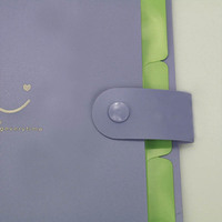Carpeta de archivos a3, tipo de moda, proveedor de China, carpeta de archivos de cubierta dura a3, carpeta de archivos de plástico a4 2020