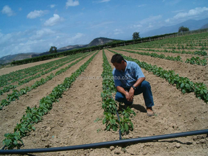 Sistema di irrigazione a goccia agricolo economico Kit sistema di irrigazione per famiglie sistema completo per trama piccola 500M2 ADK0500 - Product Image 3