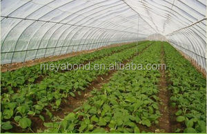 Anti afida - Product Image 6