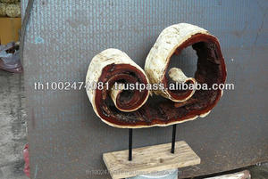 Madera con soporte - Product Image 4