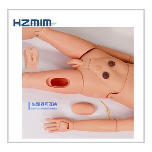 고급 전체 기능 간호 manikin 훈련, 의료 간호 연습 manikin 남성/여성 - Product Image 2