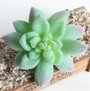 Planta Artificial de Cactus Azul en Plástico, Mini Planta sin Maceta para Decoración del Hogar, Pequeña Planta de Plástico para Decoración de Estilo Desértico - Product Image 3