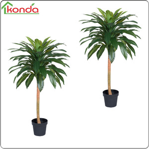 Cây Nhân Tạo 100Cm Aglaonema Costatum Lá Lớn Thường Xanh Nhà Máy - Product Image 6